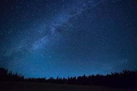 Blue dark night sky with stars above field of trees. Stock Photos