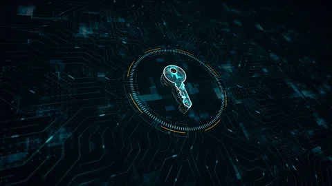Blue digital key logo network security and authentication firewall system Stockbeeldmateriaal 242525300