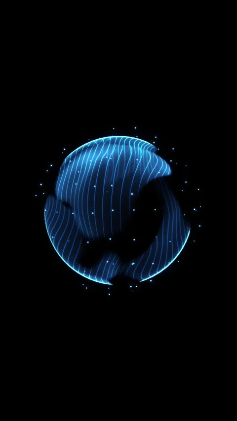 Blue Digital Wireframe Sphere with Flowing Data Lines Stock Footage 342629921