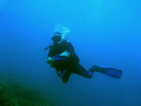 Blue diver Stock Photos