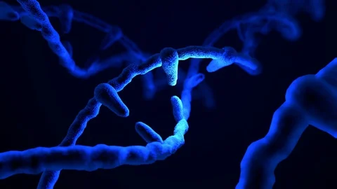 Blue DNA. Stock Footage 86439756
