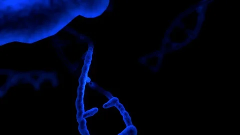 Blue DNA. Stock Footage 86440043