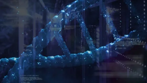 Blue DNA helix shifting on playback, revealing data center servers and Stock Footage 332566581