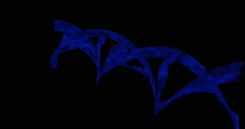Blue DNA Molecule flying animation in a black background Stock Footage 135080435