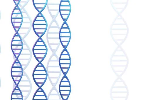 Blue DNA molecules structures on white. Science and Technology, 3d render 库存插图