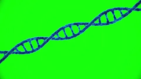 Blue DNA strand made of glowing blue spheres on looped green screen background Stock Footage 313560668