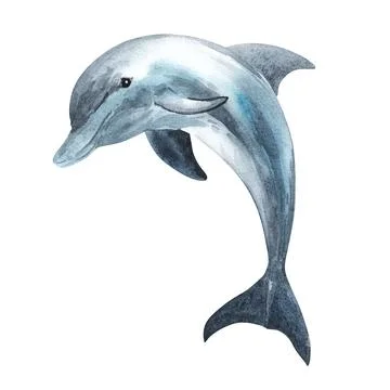 Blue dolphin isolated on white background. Watercolor. Illustration. Template Stock Illustration