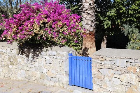 The blue door with serenity view. Stock Photos