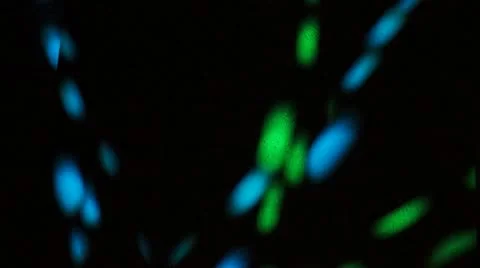 Blue Dots Stock-Footage 11693009