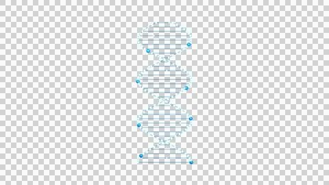Blue Double Helix Data Spine Isolated on Transparent Background Stock Illustration