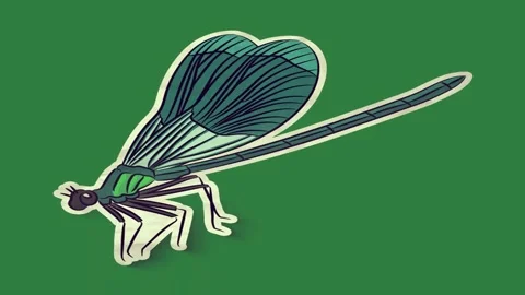 Blue dragon fly on butterfly bird isolated isolated on green screen background Stock Footage 336893152