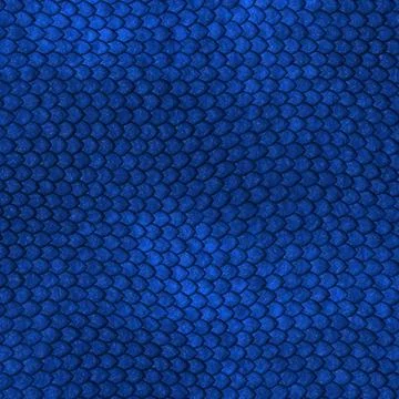 Blue Dragon scales pattern Blue Dragon scales pattern Copyright: xZoonar.c... 스톡 사진