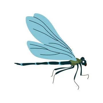 Blue dragonfly insect side view vector illustration isolated on white backgro Stock Illustration