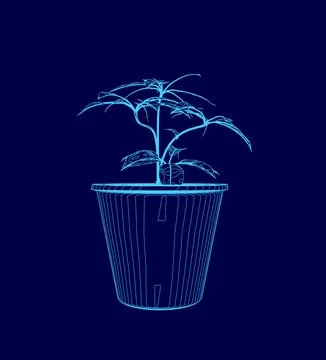 Blue drawing of a plant in a plastic container. The plant is small Illustrazione stock