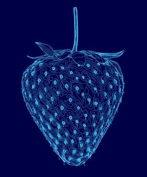 Blue drawing of a strawberry with a stem. The drawing is of a close up of the Stock Illustration