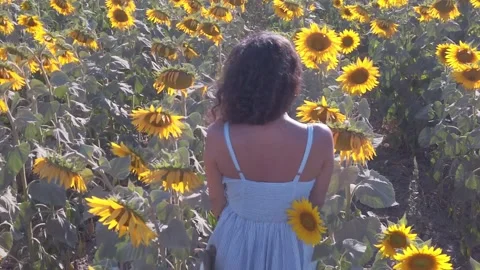 A blue dressed woman is opening her arm to sky at sunflower field Stock Footage