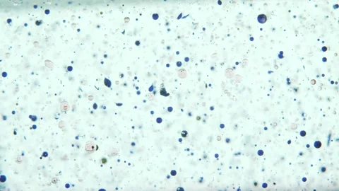 Blue drops on a white background move from top to bottom Stock-Footage 132177855