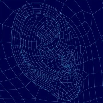 Blue ear with a web-like texture. The ear is the main focus of the image, and Stock Illustration