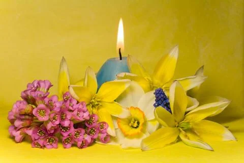 Blue easter cande with   narcissus, bergenia and tulips Stock Photos