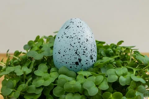 A blue Easter egg with black spots sits on a bed of green grass Stock Photos