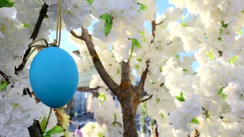 Blue Easter egg on blooming tree Stock Footage 244342119