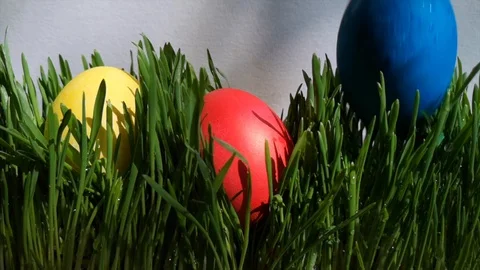 Blue easter egg falls into young fresh green grass Stock Footage 105668270