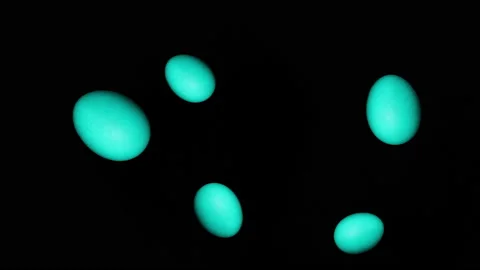A blue Easter egg flies in the air on a black background. Approaching, receding Video stock 237396230
