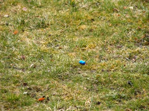Blue easter egg on green meadow Stock Photos