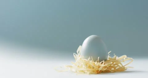 Blue easter egg with hay on blue background with copy space Stock Footage 331208149