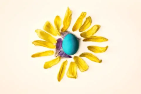 Blue easter egg surrounded with yellow flower petals, shape of a sun isolated on Stock Photos