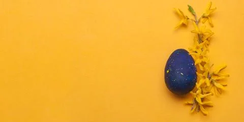 Blue easter egg with yellow flowers on a yellow background. Top view. Stock Photos