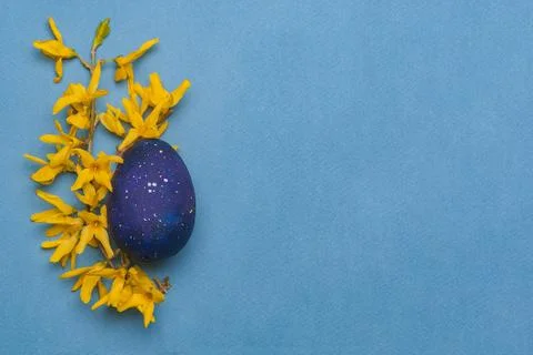 Blue easter egg with yellow flowers on a blue background. Top view. Stock Photos