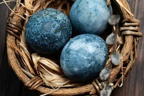 Blue Easter eggs and bouquet of willow flowers on rustic table wood. Naturall Stock Photos