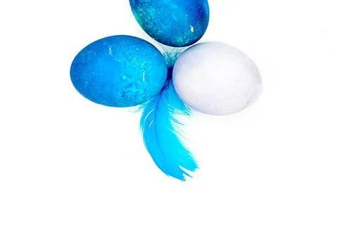 Blue Easter eggs and small fluffy blue feathers randomly scattered Stock Photos