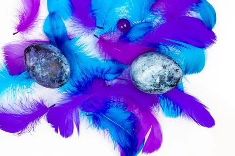 Blue Easter eggs and small fluffy blue feathers randomly scattered Stock Photos