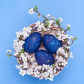 Blue easter eggs in a basket with flowers on a blue background. Square photog Stock Photos
