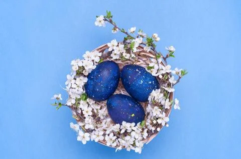 Blue easter eggs in a basket with flowers on a blue background. Horizontal ph Stock Photos