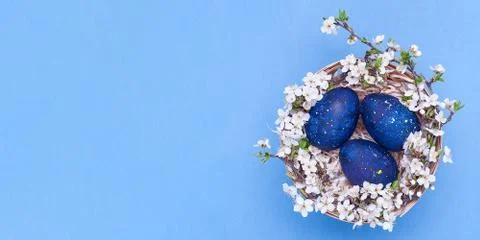 Blue easter eggs in a basket with flowers on a blue background. Horizontal ph Stock Photos