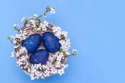 Blue easter eggs in a basket with flowers on a blue background. Horizontal ph Stock Photos