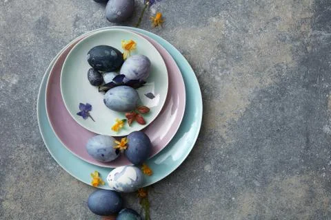 Blue easter eggs with dried flowers Fotos de archivo