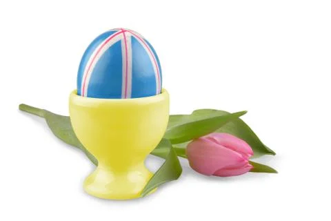 Blue easter eggs with pink tulip, isolated Stock Photos