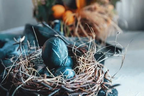 Blue Easter eggs in a round bird nest with processed hay on a blue background Foto stock