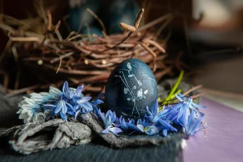 Blue Easter eggs in a round bird nest with processed hay on a blue background Stock Photos
