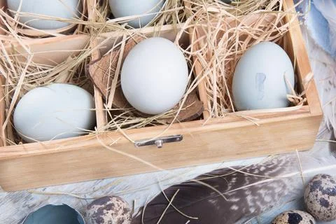 Blue Easter eggs on vibrant wooden table background Stock Photos