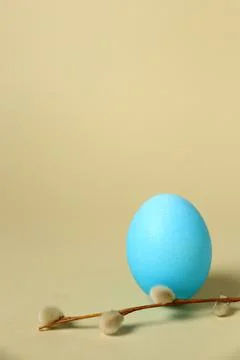 Blue egg placed on a twig with small buds against a plain background during Stock Photos
