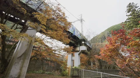 Blue Eizan Railway Train Crossing an Autumn Bridge in Kyoto 库存影片 348577308