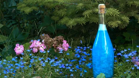 Blue elixir in a bottle in the forest Stockbeeldmateriaal 93314065