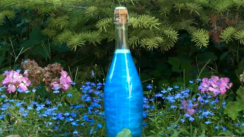 Blue elixir in a bottle in the forest Stock Footage 93314403