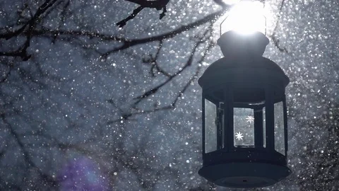 Blue empty lantern, hanging on leafless twig in thick snowfall with slow motion Stock Footage 87872439