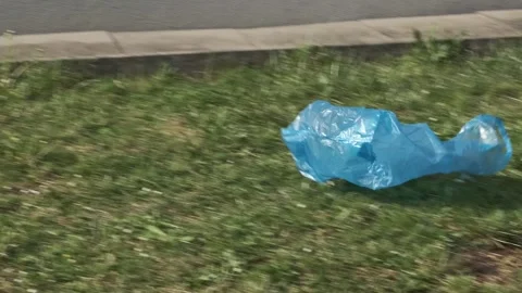 A blue empty plastic shopping bag flies in the wind in the park, showcasing.. Stock Footage 275830927
